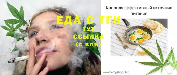 дмт Богородицк