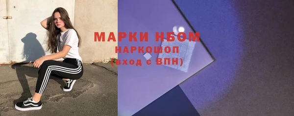 дмт Богородицк