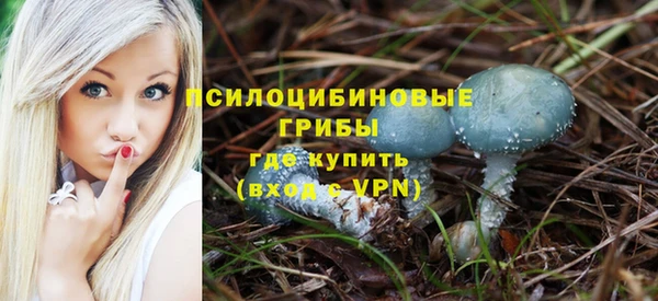 a pvp Беломорск