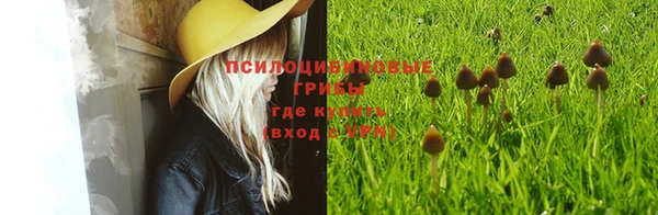 эйфоретик Кинешма