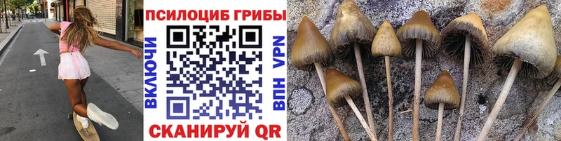 Псилоцибиновые грибы Psilocybine cubensis  цены наркотик  Дрезна 
